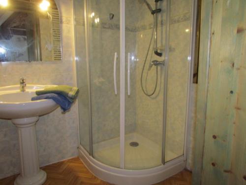 a bathroom with a shower and a sink at chambre aux tomettes au Major in Belle-et-Houllefort