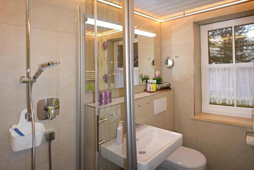 a bathroom with a shower and a toilet and a sink at Gmeinder's Landhaus in Immenstadt im Allgäu