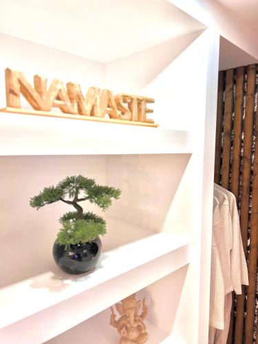 a shelf with a bonsai tree on it at Le Zen - Sauna - Balnéo - Sparoom Sarreguemines in Sarreguemines