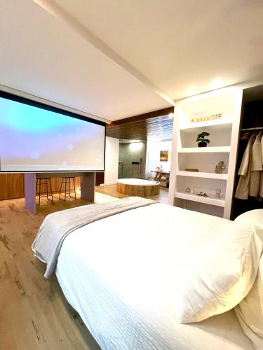 a bedroom with a large bed and a large screen at Le Zen - Sauna - Balnéo - Sparoom Sarreguemines in Sarreguemines
