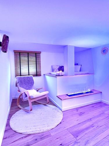 a living room with a chair and a rug at Le Zen - Sauna - Balnéo - Sparoom Sarreguemines in Sarreguemines