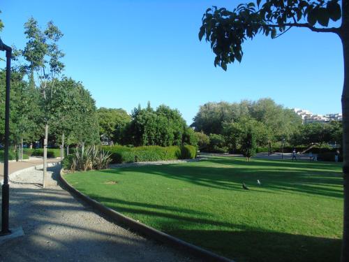 Mocalma Hércules Benalmádena