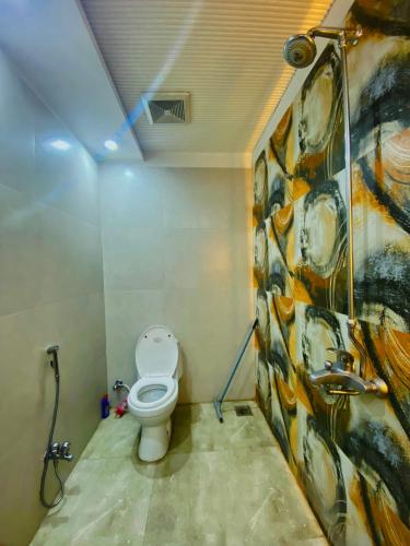 ラホールにあるLuxury Apartment in Bahria Town, Lahoreのバスルーム(トイレ付)が備わります。壁に絵画が飾られています。