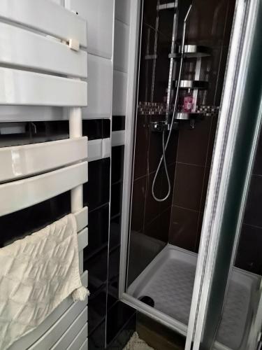 a shower with a glass door in a bathroom at Studio proche la Défense, Cosy confort in Colombes
