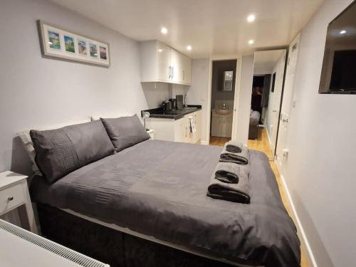 a bedroom with a large bed and a kitchen at The snug, Yapton, Arundel, West sussex in Yapton