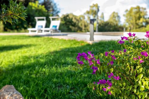Zahrada ubytování SARDINIA RE - Villa Gialla