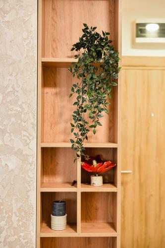 a cabinet with a potted plant in it at 4Rest & 4Joy in Zlatibor