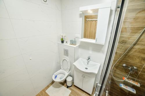 a white bathroom with a toilet and a sink at 4Rest & 4Joy in Zlatibor