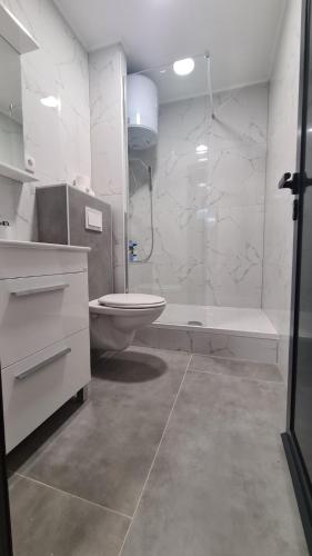 uma casa de banho branca com um WC e um chuveiro em Apartman OleLole , 1 floor em Brcko