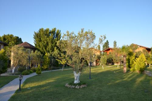 Κήπος έξω από το Hotel Sunset Troia