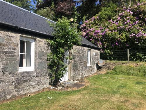 ein altes Steinhaus mit einem Busch, der aus ihm wächst in der Unterkunft Ellary Cottage in Stonefield