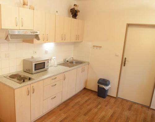 a small kitchen with a microwave and a sink at Krásný apartmán uprostřed Jeseníků in Bruntál
