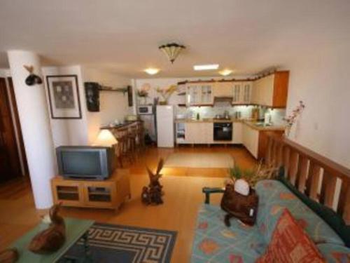 a living room with a couch and a tv and a kitchen at Apartment in Soo in Soo