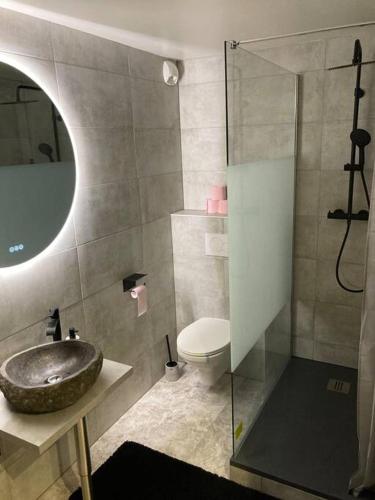een badkamer met een wastafel en een toilet bij Le 36/Espace bien-être privatif in Bellevaux