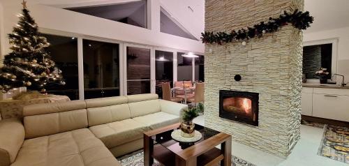 ein Wohnzimmer mit einem Sofa und einem Kamin in der Unterkunft Sofia Holiday Haven in Nature with Pool in Slovenska Bistrica