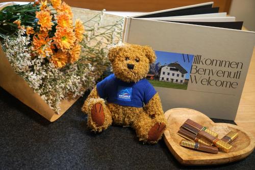 a brown teddy bear sitting next to a box at Halbwöhrerhof in Anterselva di Mezzo