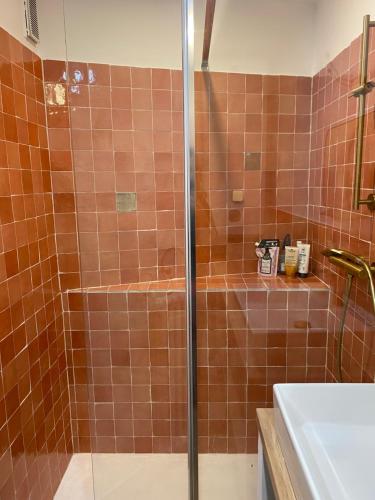 La salle de bains est pourvue d'une douche et de carrelage brun. dans l'établissement Charmant appartement 2 chambres à 10mn de la plage., à Marseille