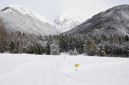 a snow covered field with mountains in the background at Ferienwohnungen Kail Thomas in Obsteig