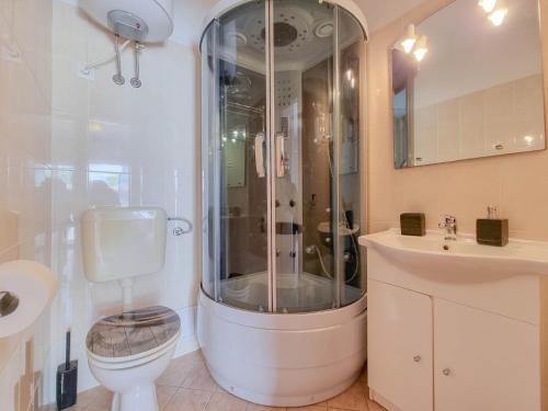 e bagno con doccia, servizi igienici e lavandino. di Crveni Vrh A4+2 a Crveni Vrh (Monterosso)