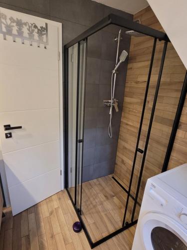 y baño con ducha y puerta de cristal. en Apartment Ferienwohnung Steigwaldweg, en Würzburg