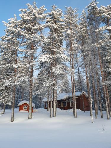 索特的住宿－Rantamökki 28，树林里的一个小屋,有雪覆盖的树木