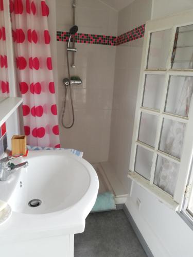 La salle de bains est pourvue d'un lavabo blanc et d'une douche. dans l'établissement Studio cosy, à Uzerche