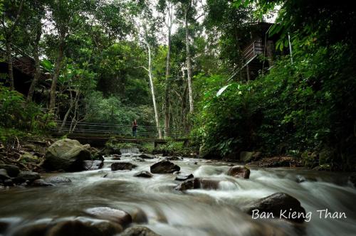 a river in the middle of a forest at บ้านเคียงธาร โฮมสเตย์ แม่แมะ Cascade Lodge in Amphoe Chiang Dao