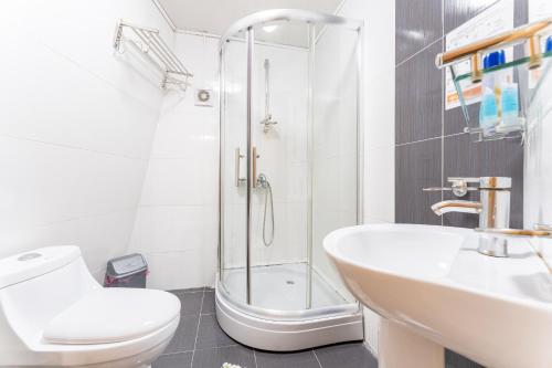 La salle de bains est pourvue d'une douche, de toilettes et d'un lavabo. dans l'établissement Hotel Old Seti, à Mestia