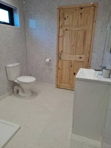 a bathroom with a toilet and a sink and a wooden door at Ferry Lodge Norfolk Broads in Brundall