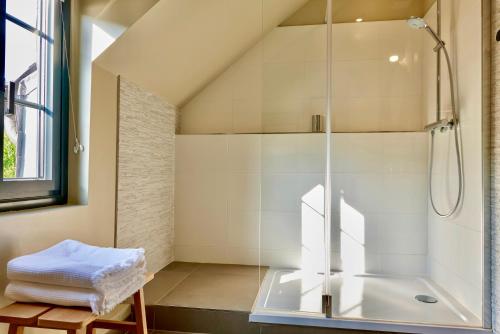 une salle de bain avec une douche avec une porte vitrée dans l'établissement Le 10Honfleur, à Honfleur