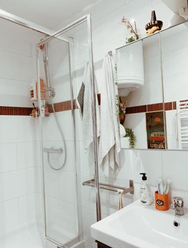 La salle de bains est pourvue d'une douche et d'un lavabo. dans l'établissement Cozy Paris Apartment, à Paris