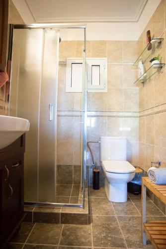 a bathroom with a shower and a toilet at Irida's house in Kefallonia
