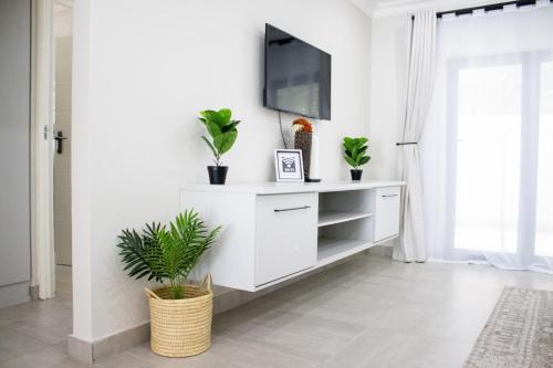 a white cabinet with plants on it in a living room at Asania Guest House in Bloemfontein
