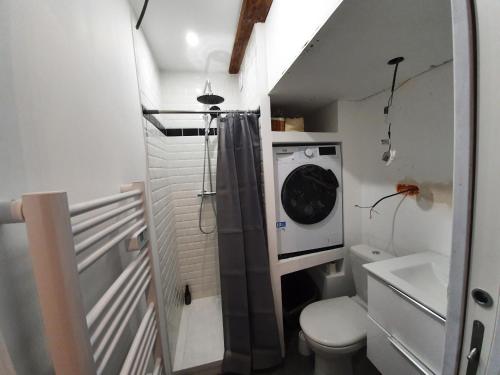 La salle de bains est pourvue de toilettes et d'un lave-linge. dans l'établissement Coeur Vieux Lille , Bienvenue chez Nestyou, Lille, à Lille