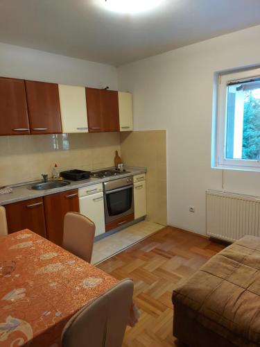 a kitchen with a table and a kitchen with a stove and a sink at Apartmani vila Todor in Divčibare