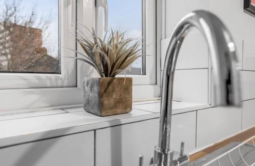a kitchen sink with a potted plant in a window at *NEW* 2 bed apartment on Ber St Norwich in Norwich