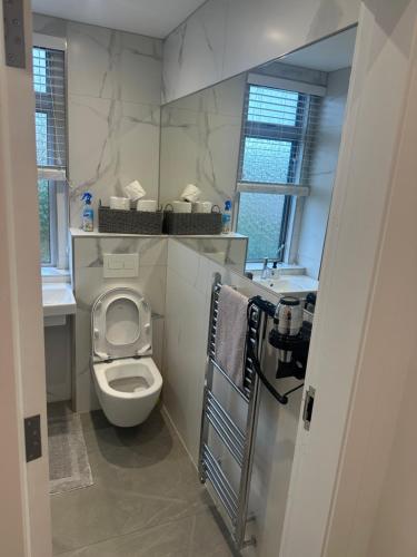 a small bathroom with a toilet and a sink at Woodburn, Falkirk in Falkirk