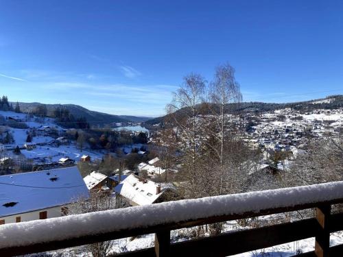 F3 Superbe vue lac, grand balcon, ambiance nature