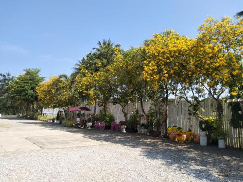 a row of trees with yellow flowers on a fence at Saan Rak Resort in Prachuap Khiri Khan