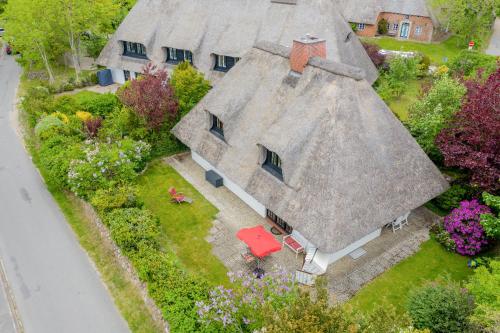 En have udenfor Carlotta