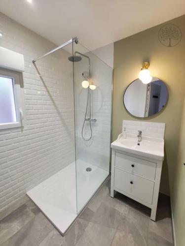 une salle de bain avec une douche, un lavabo et un miroir dans l'établissement Guest house avec spa Jura , gîte du petit pommier, à Sainte-Agnès