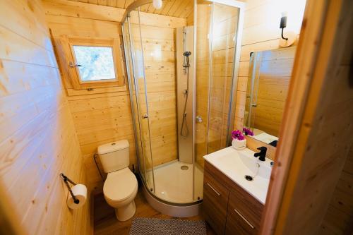 een badkamer met een toilet, een douche en een wastafel bij Villa Experience Rural in Ronda