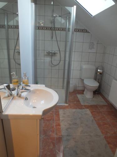 a bathroom with a sink and a shower and a toilet at B&B Le Club de la Source in Hannut