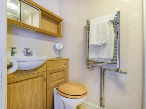 Baño pequeño con aseo y lavamanos en 1 bed in Llanwrtyd Wells BN254 en Beulah