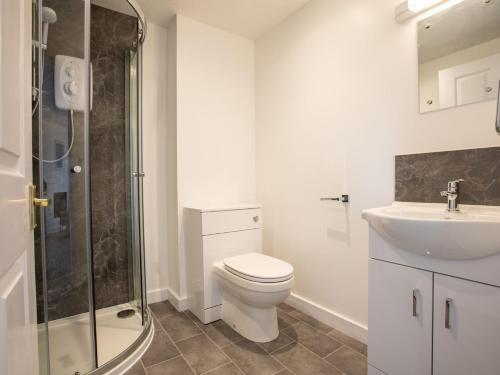 a bathroom with a toilet and a sink and a shower at 1 bed in Bude 83632 in Stratton
