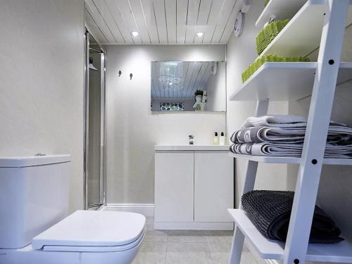 uma casa de banho com um WC, um lavatório e uma escada em 2 bed in Cockermouth SZ123 em Cockermouth