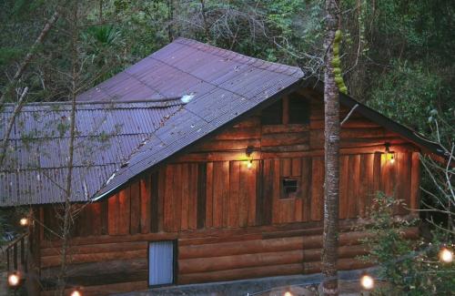 a cabin in the woods with a purple roof at บ้านเคียงธาร โฮมสเตย์ แม่แมะ Cascade Lodge in Amphoe Chiang Dao
