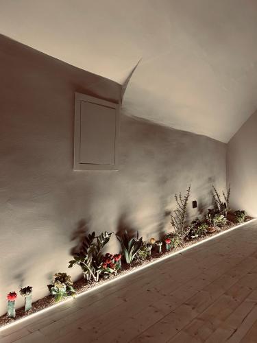 Green Cave, Design Room