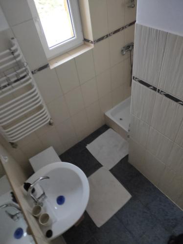 baño con lavabo y aseo y ventana en Agroturystyka u Zosi, en Żegiestów