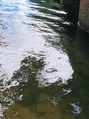 a body of water with a reflection of the sky at JAYANDRA HOLIDAY BUNGALOW in Waga